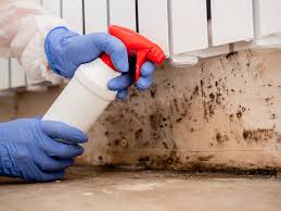 Hicksville, NY Mold Removal & Remediation Company